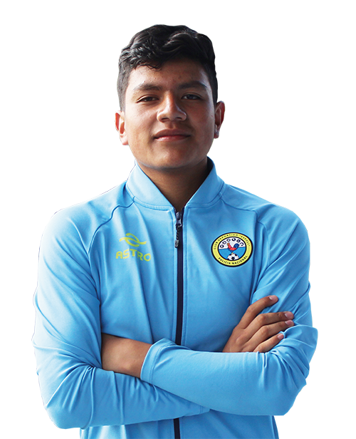 PAREDES HAMILTON